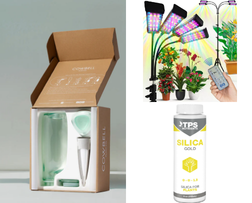 Plants 🪴 cover photo collage