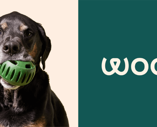 Dog Must Haves! cover photo collage