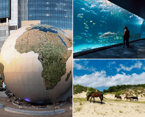 Outdoor Activities cover photo collage