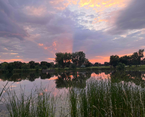 Recs from the Twin Cities Suburbs cover photo collage