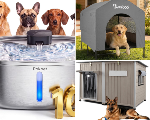 🐶 Dog Essentials & Favorite Must-Haves cover photo collage