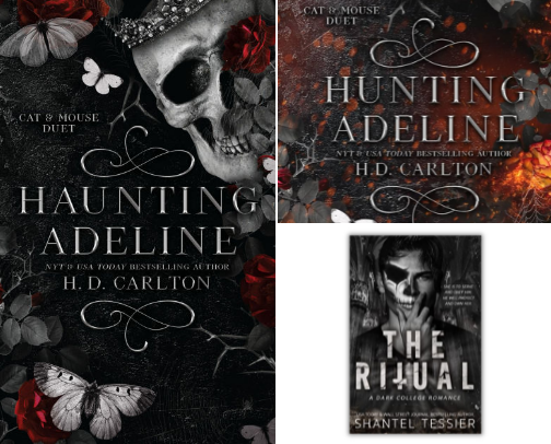 Dark Romance recs cover photo collage
