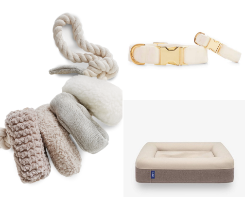 Pantone Color of the Year — Cloud Dancer Pet Finds cover photo collage