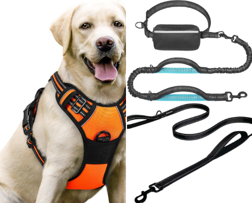 Dog Products I’d 100% Buy Again cover photo collage