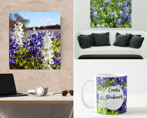 Country Bluebonnets & Wildflowers Art Designs cover photo collage