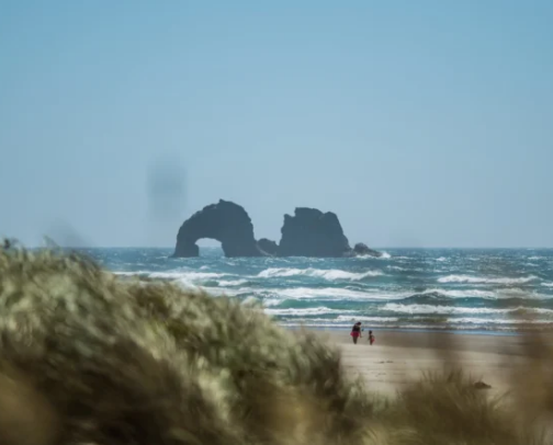 Oregon coast trip!! cover photo collage