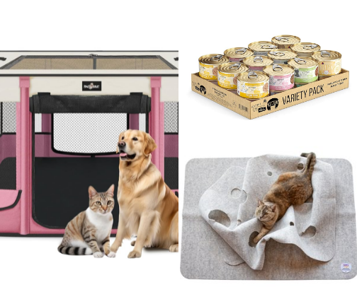 Kitten Fostering Supplies cover photo collage