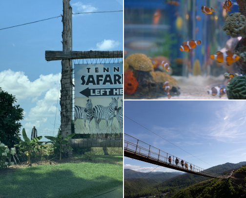 Road Trip Stops! cover photo collage