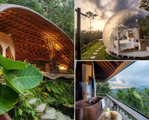 Unique & Instagrammable Hotels in Bali You’ll Never Forget cover photo collage