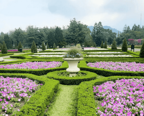 My fav place to reconnect with nature🌿 cover photo collage