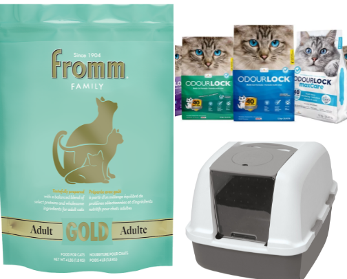Pet recommendations cover photo collage