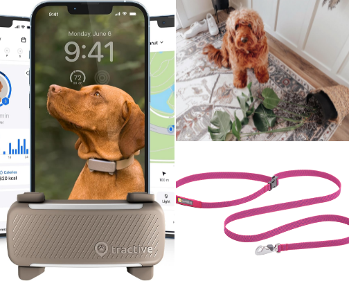 Love my Fur Baby cover photo collage