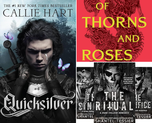 Shadow Daddy Book Recs For The Girls cover photo collage