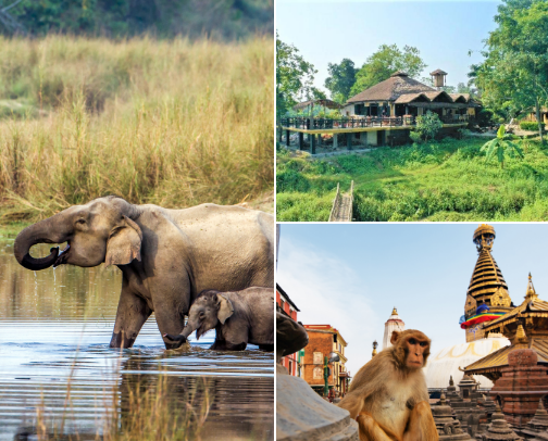 Nepal Travel Recommendations cover photo collage