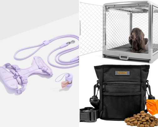 Dog Must-Haves & Decor cover photo collage