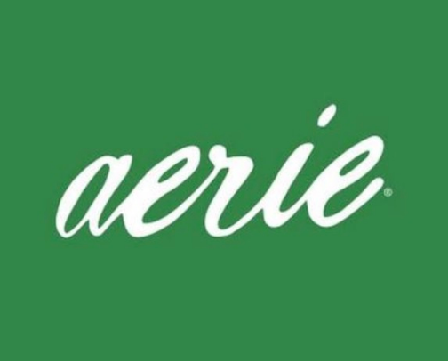 Aerie Needs cover photo collage