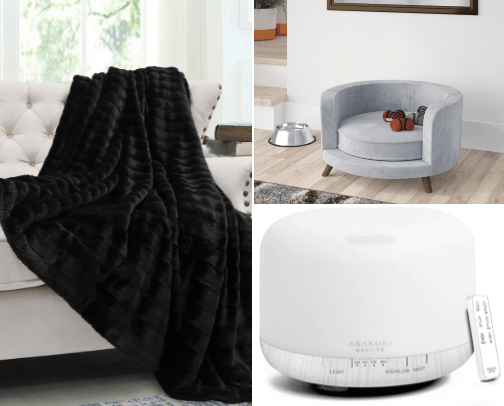 From My Home to Their Heart🧸
Pet Connection and Dream Home cover photo collage