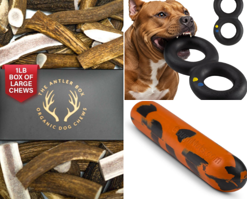 Naturally Happy Paws cover photo collage