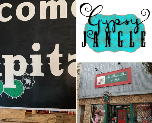My top Sweetwater recs cover photo collage