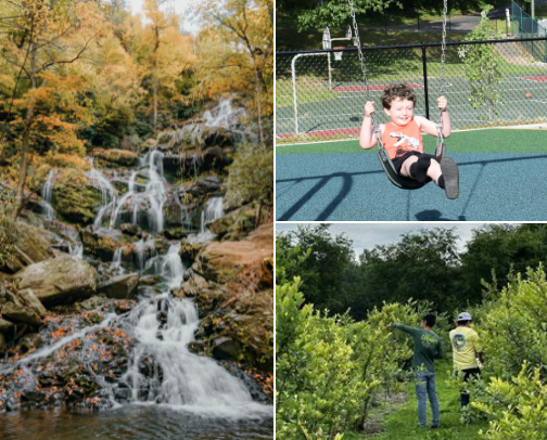 Things to do in McDowell County NC (Old Fort/Marion) cover photo collage