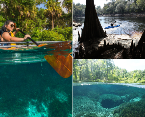 South Florida’s Hidden Gems 💎 cover photo collage