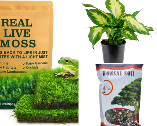 Gardening Tips & Essentials for Garden Enthusiasts cover photo collage