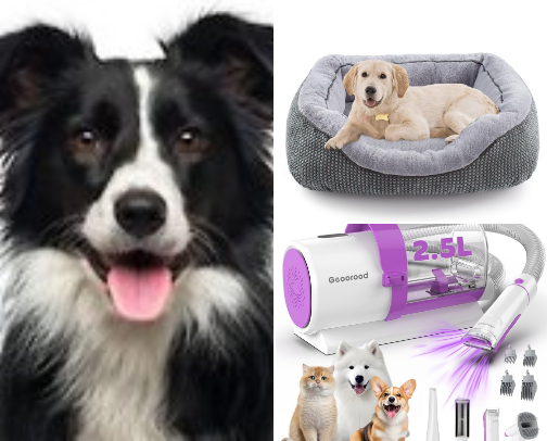 Pet Items cover photo collage