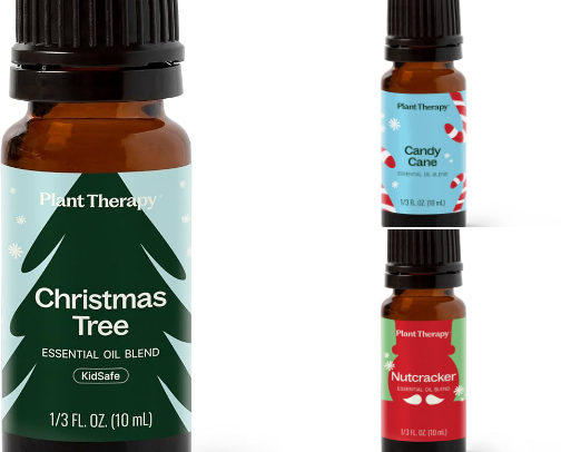 Toxin-Free Holiday Magic: Your Nontoxic Christmas Swap Guide cover photo collage
