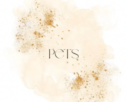 Purr-fect Essentials: Must-Haves for Your Cat 🐾 cover photo collage