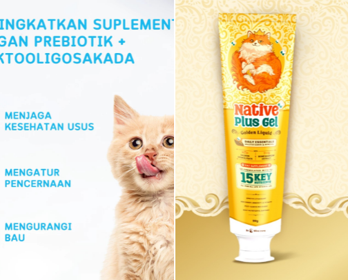 For your pet cat 😻 cover photo collage