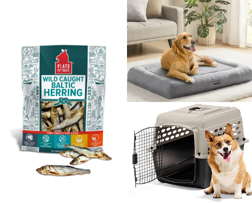 Best Items and Must Haves for Dog Owners cover photo collage