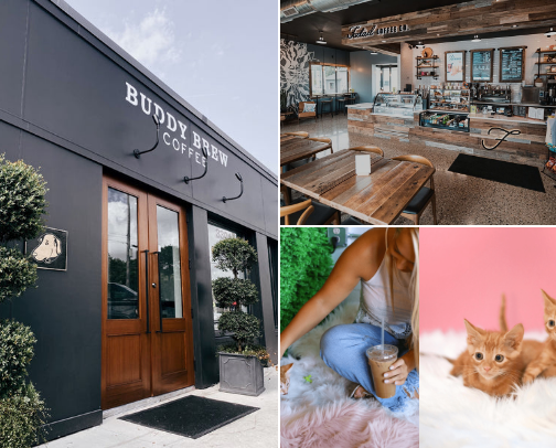 Top Coffee Shop Picks in Tampa - Calling all Coffee Lovers cover photo collage