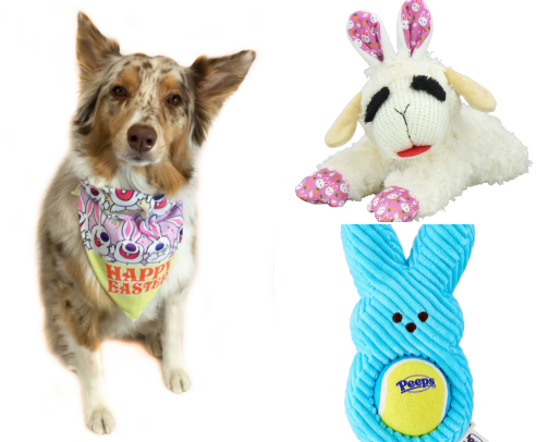 FUR BABIES EASTER🐕🐈❤️💐 cover photo collage
