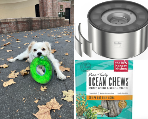 Kip Approved: Pup Favorites cover photo collage