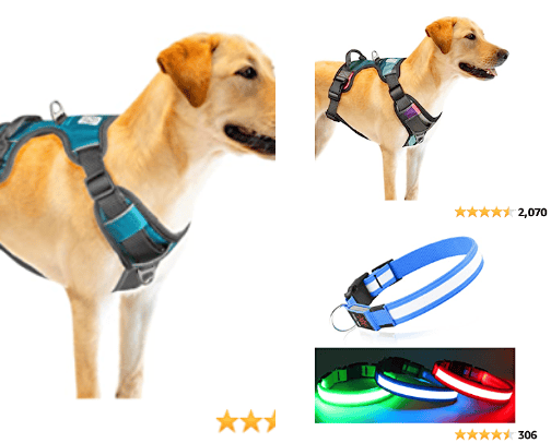 Dog accessories cover photo collage