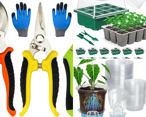 My Favorite Low-Cost Gardening Products cover photo collage