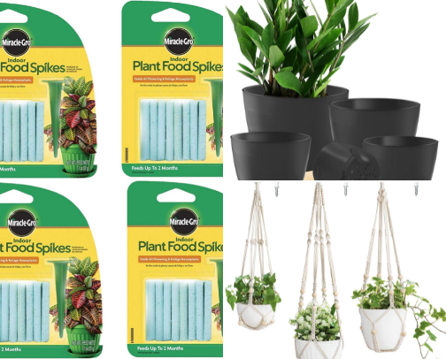 Indoor Plant Essentials cover photo collage