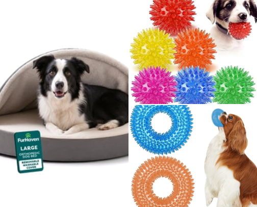Dachshund necessities cover photo collage