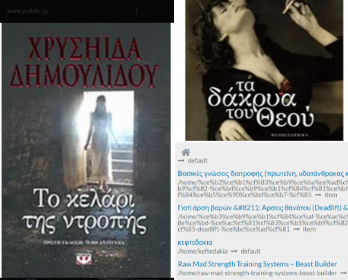 Λογοτεχνικά βιβλία cover photo collage