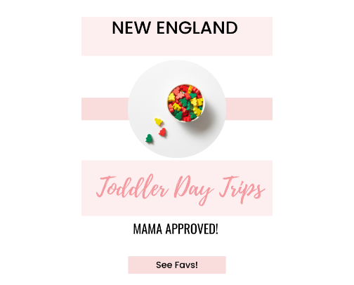 New England Toddler Day Trips (Mom-Approved & Easy Outings) cover photo collage