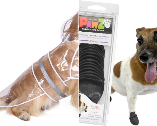 Rainy Day Essentials for Spoiled Pups cover photo collage