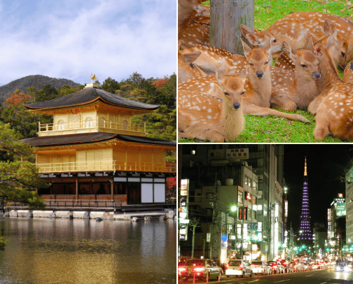 Places to Go In Japan cover photo collage