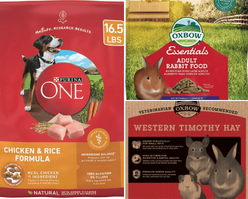 Animal lover cover photo collage
