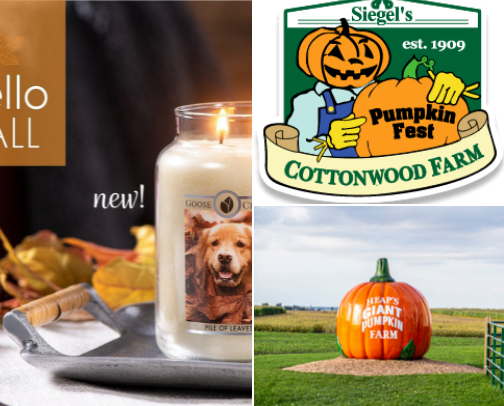 All The… Fall Things 🧡 cover photo collage