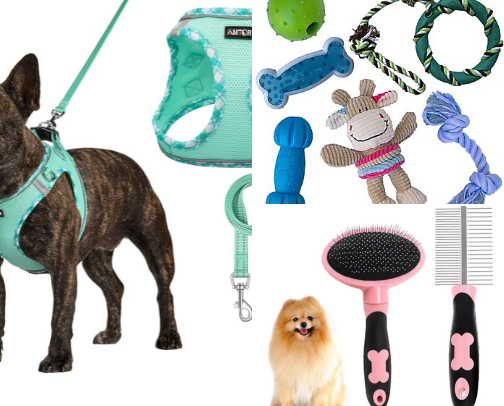 Pomeranian goodies🐾 cover photo collage