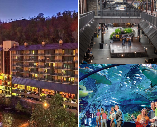 Gatlinburg: places to stay, eat, shop, and things to do cover photo collage