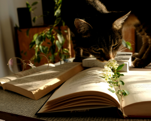 A Feast of Words - The Open Book cover photo collage