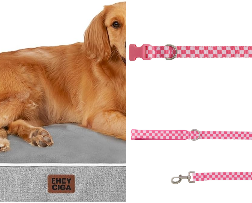 The best products for dogs cover photo collage