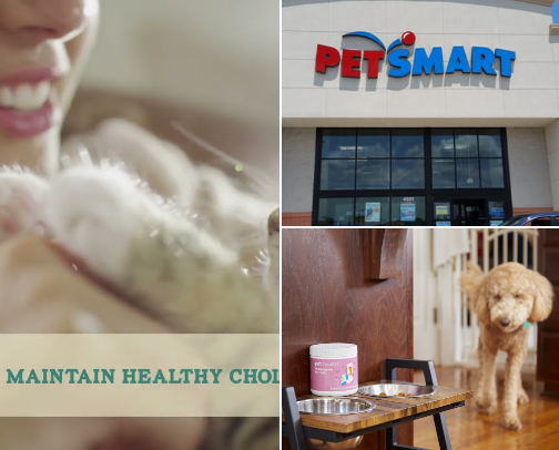 Best stuff for your pup! cover photo collage
