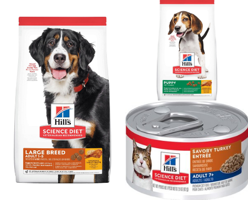 Best Dog Food & Treats from Chewy in 2026 My Vet Actually Recommends cover photo collage